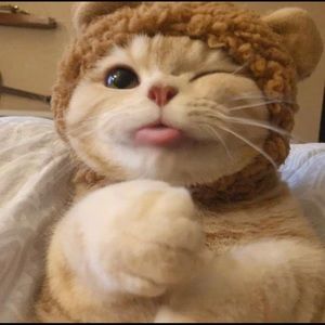 Meet your Posher, Jinn